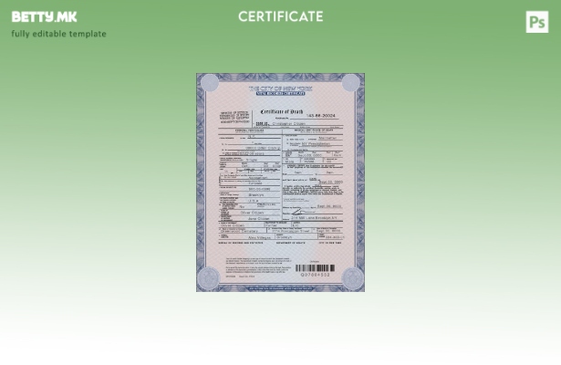 Модерен стил на САД шаблон за уверение за смрт од државата Њујорк во шаблон PSD 